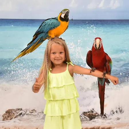 Posejdon Гостевой дом Ярославец